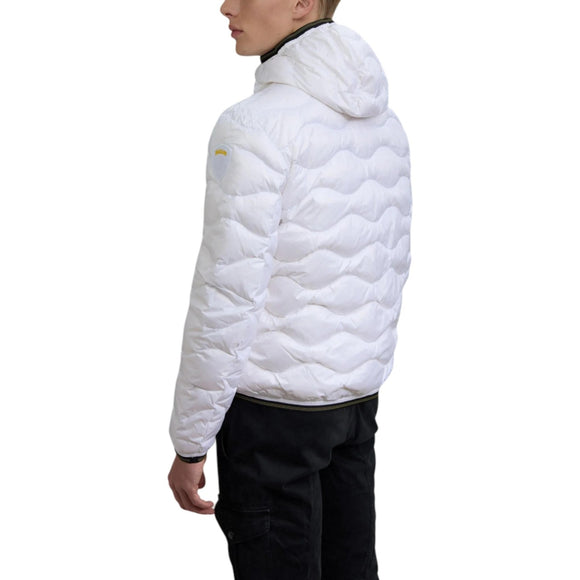 Blauer Barbat Geci