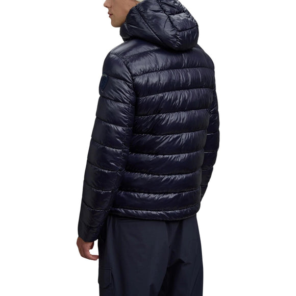 Blauer Barbat Geci