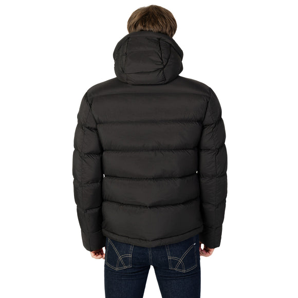 Blauer Barbat Geci