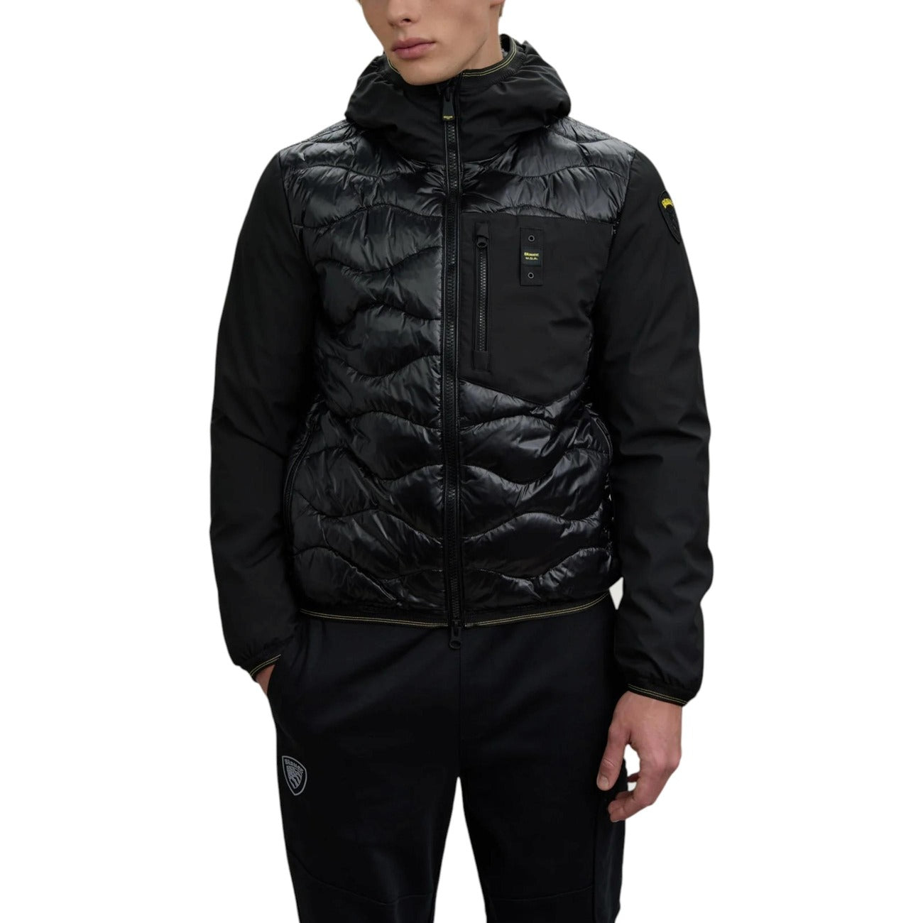 Blauer Barbat Geci