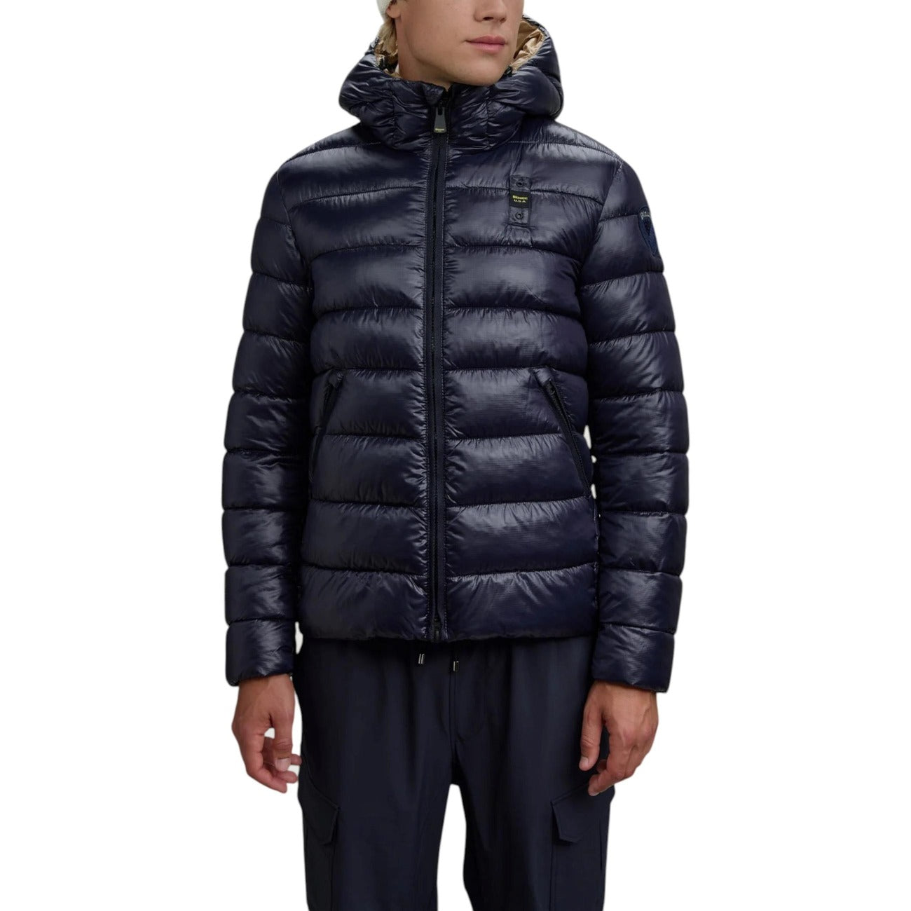 Blauer Barbat Geci