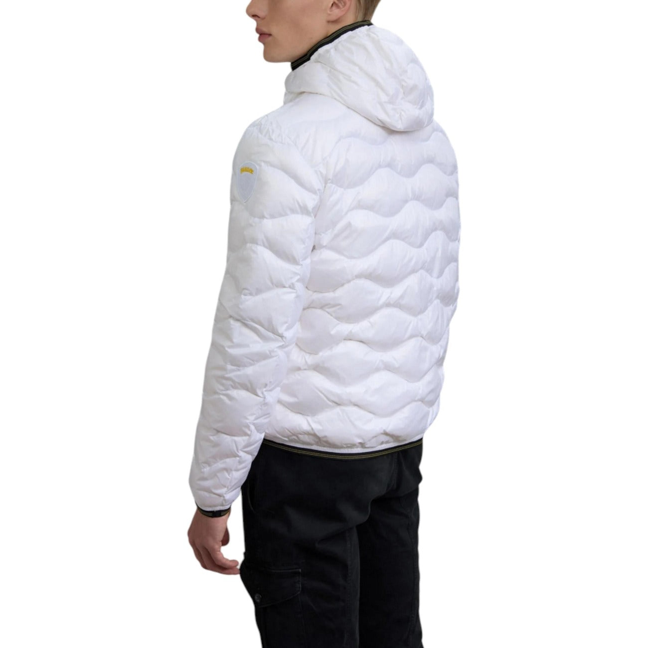 Blauer Barbat Geci