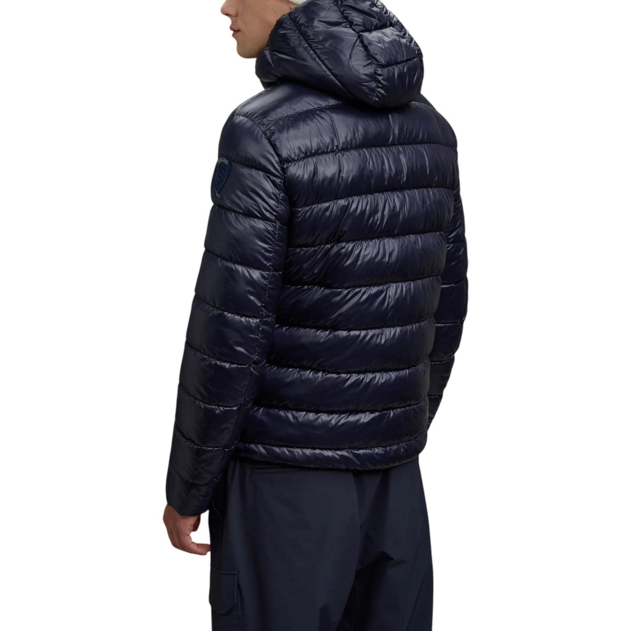 Blauer Barbat Geci