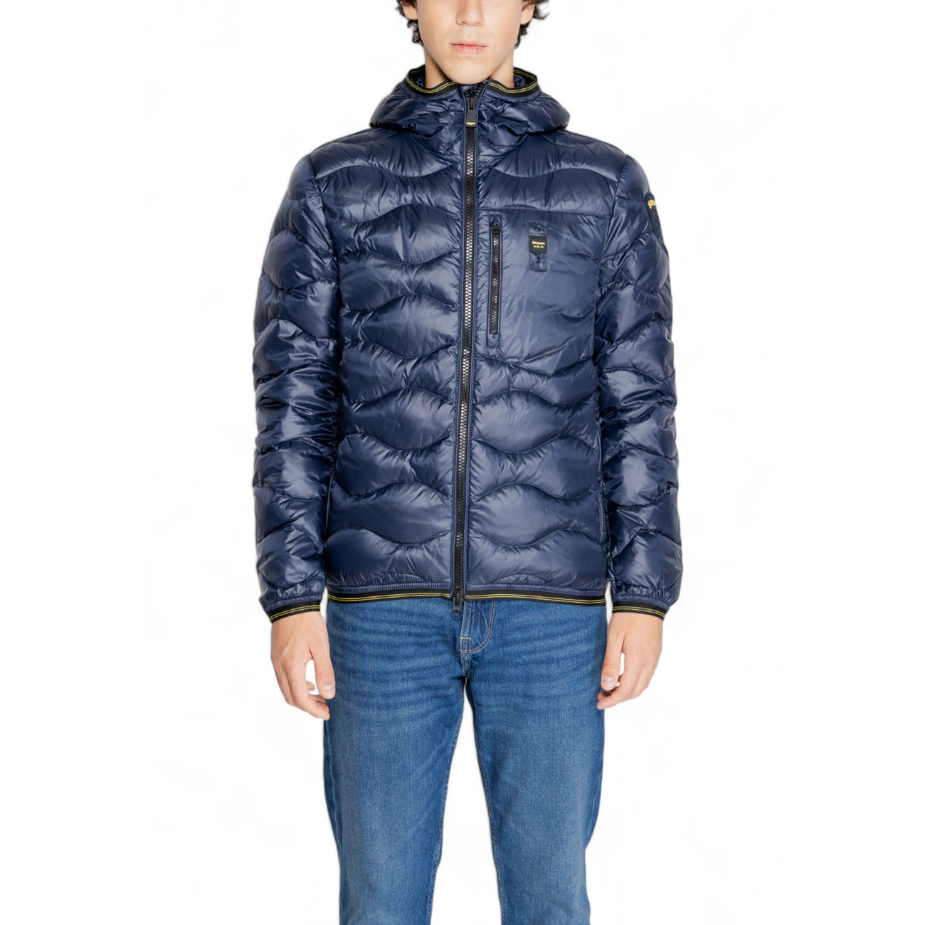 Blauer Barbat Geci