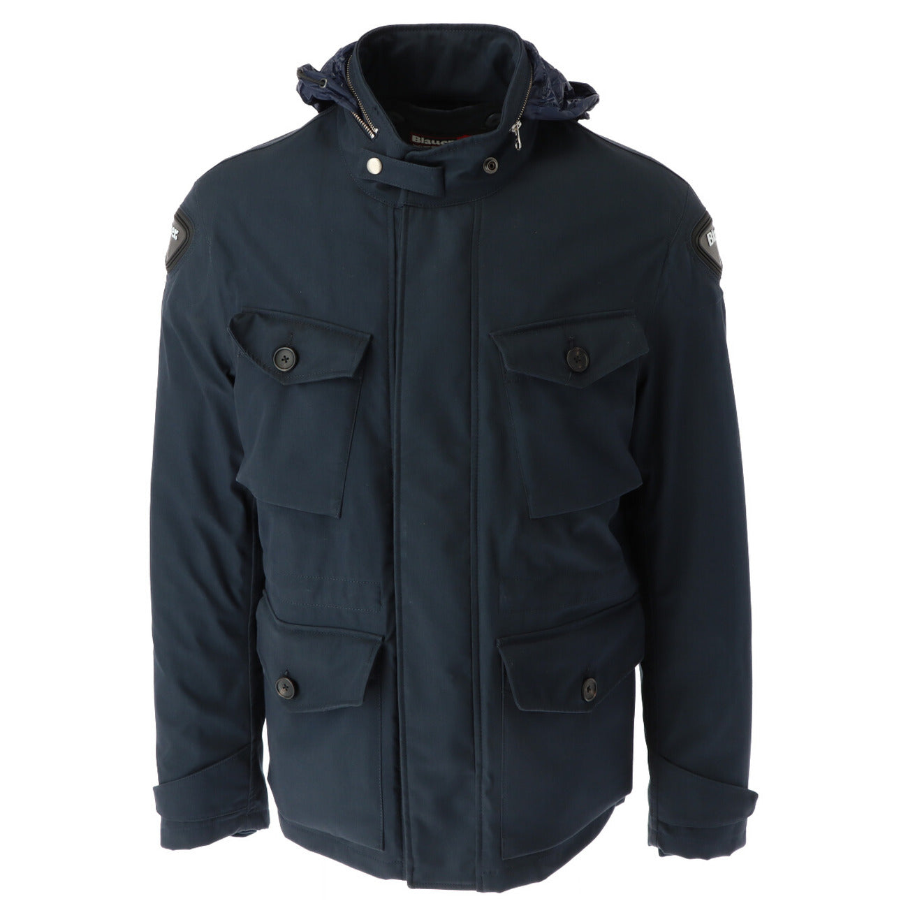 Blauer Barbat Geci