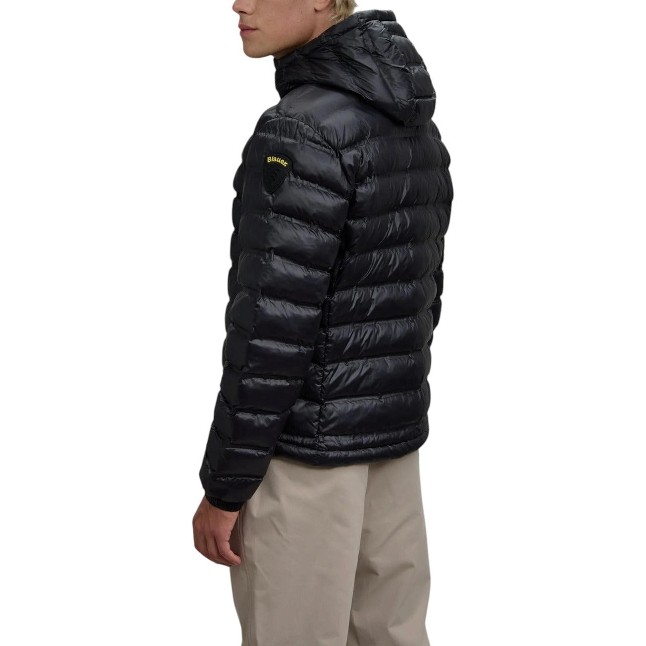 Blauer Barbat Geci