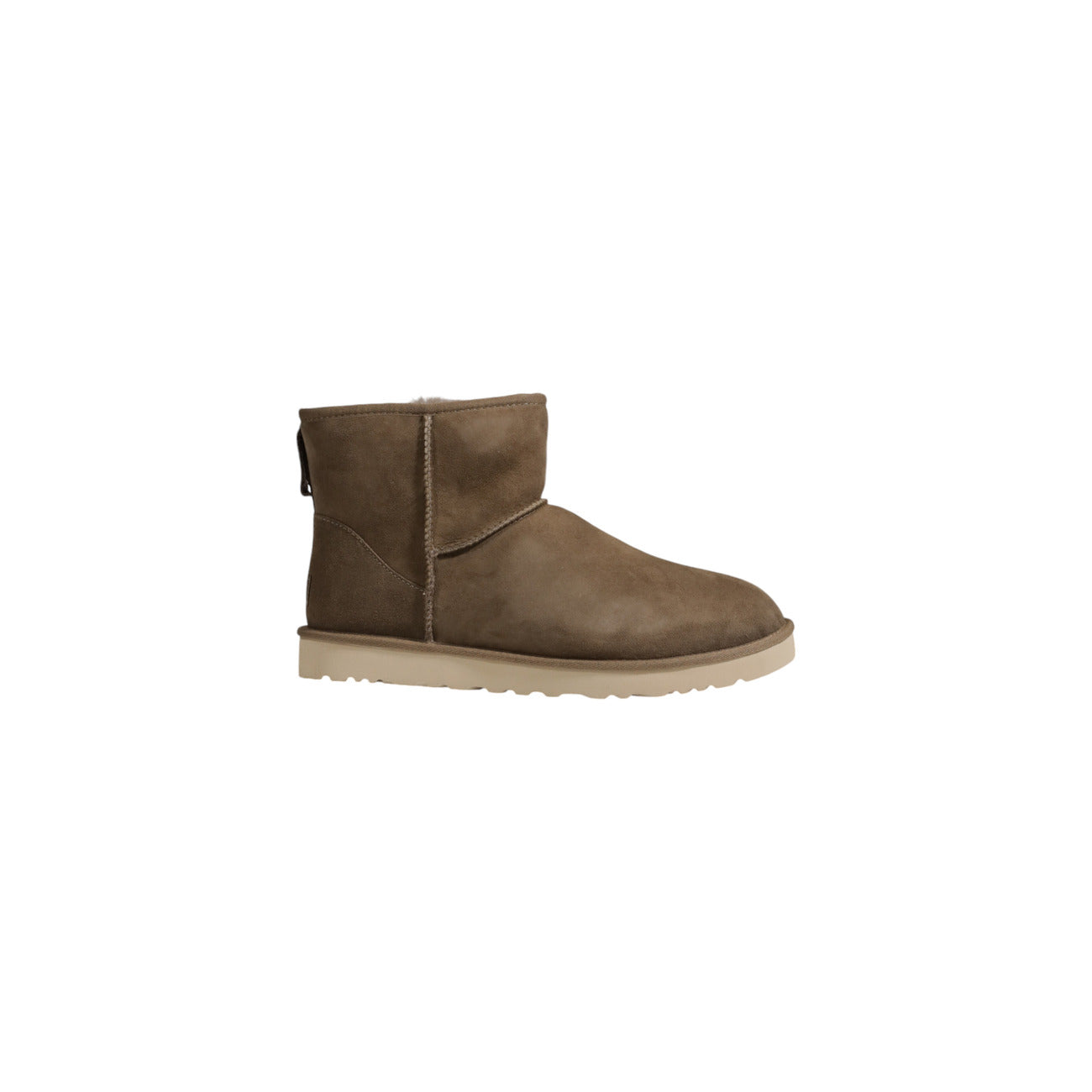 Ugg Femeie Cizme