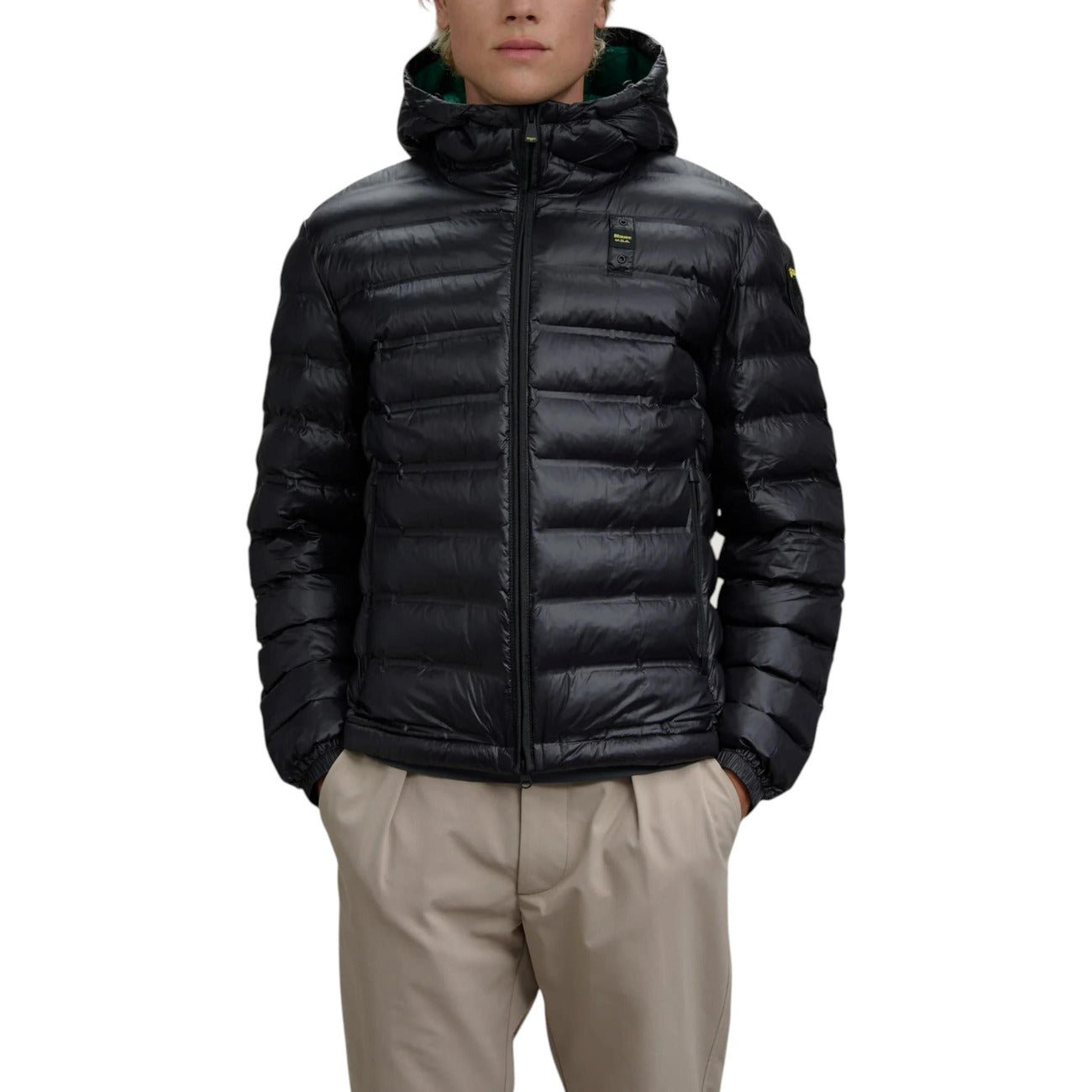 Blauer Barbat Geci