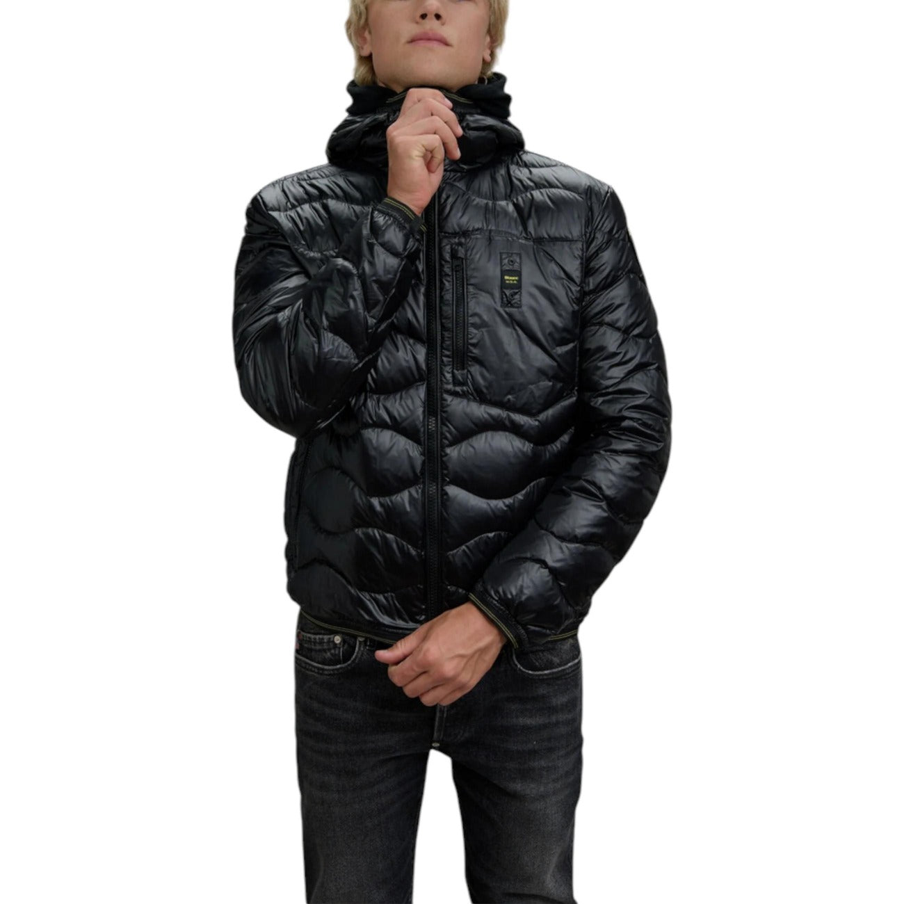Blauer Barbat Geci