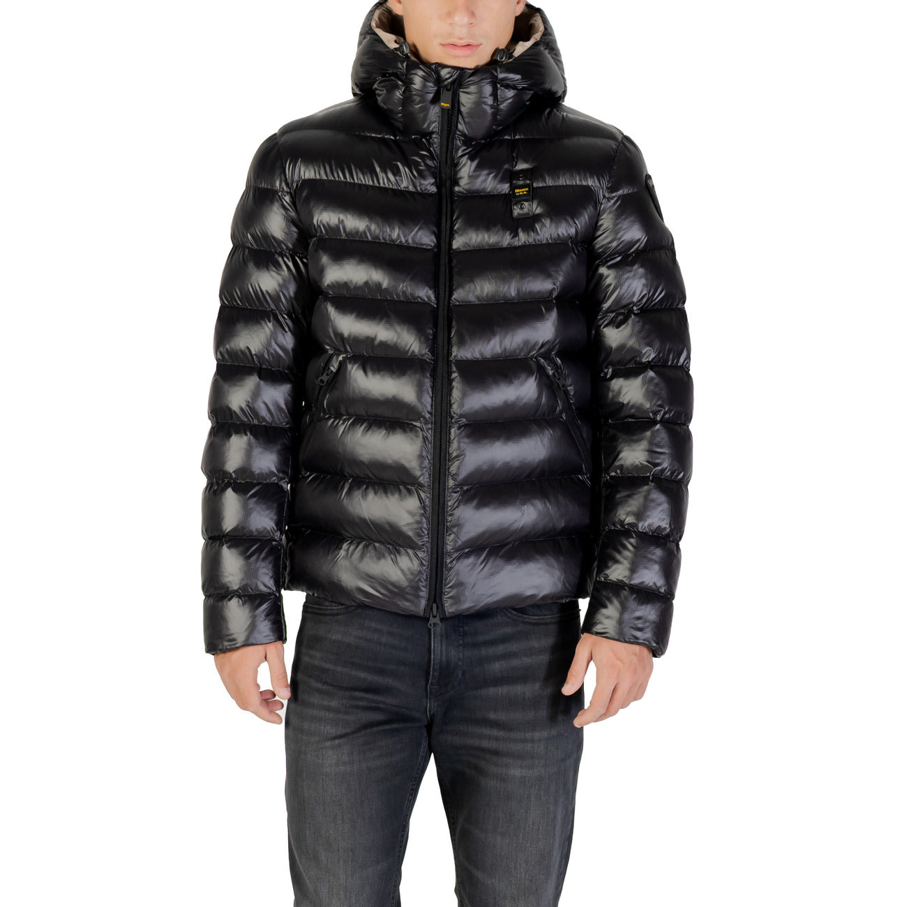 Blauer Barbat Geci