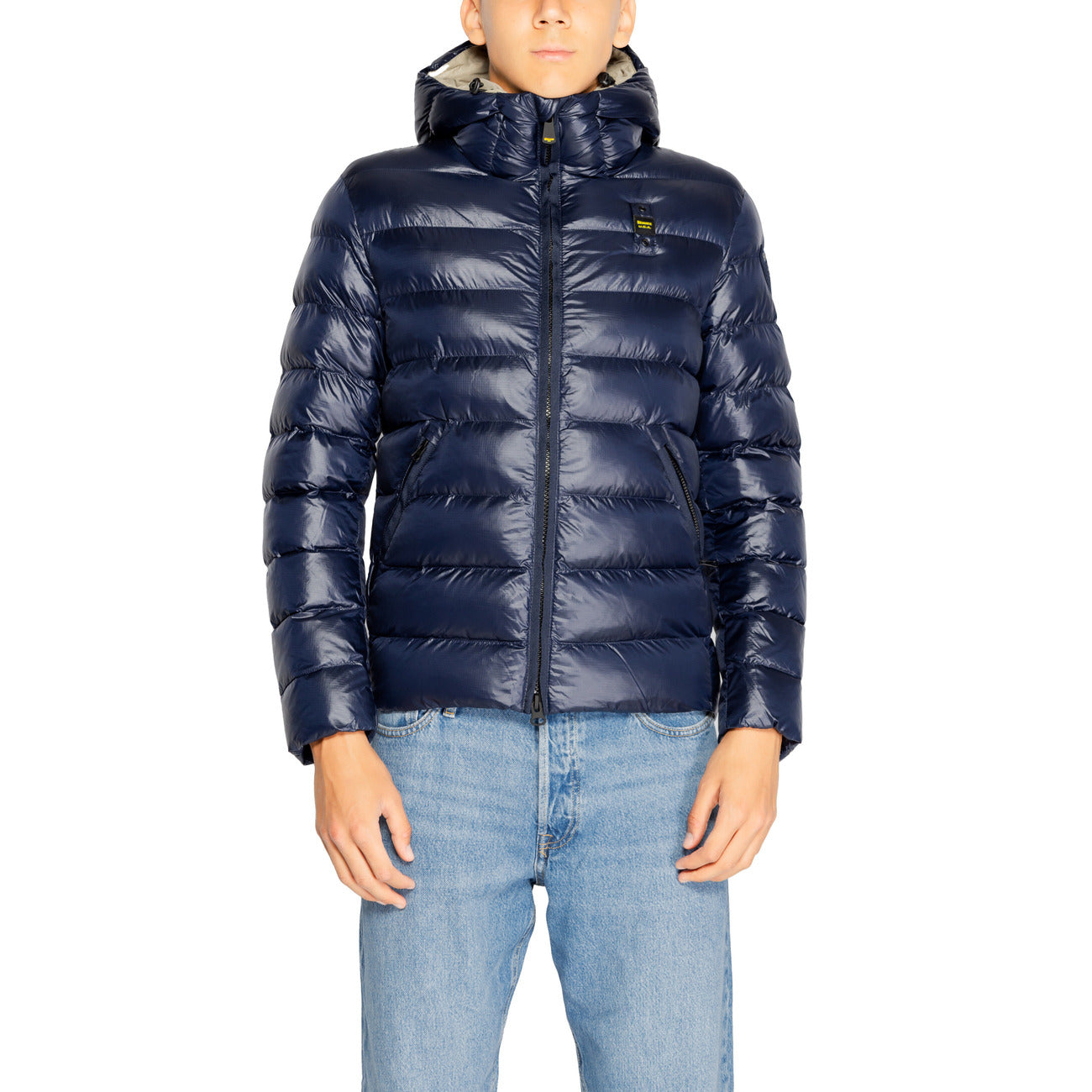 Blauer Barbat Geci