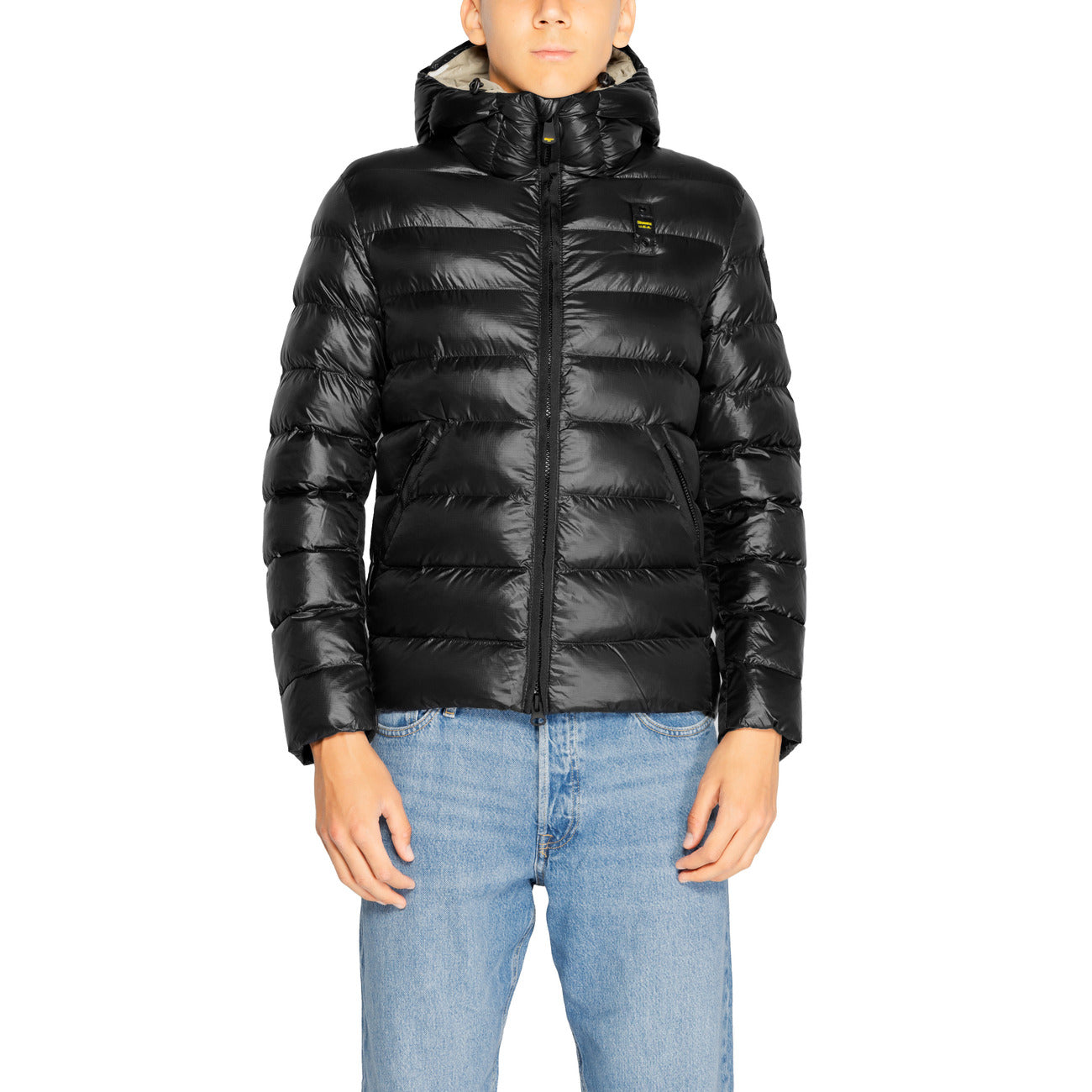 Blauer Barbat Geci