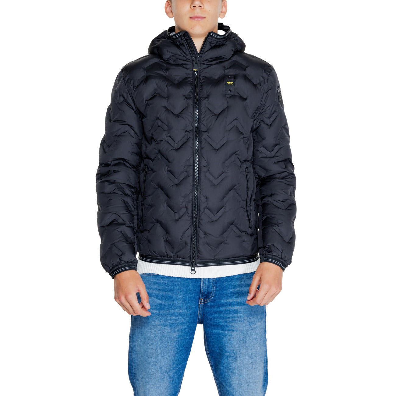 Blauer Barbat Geci