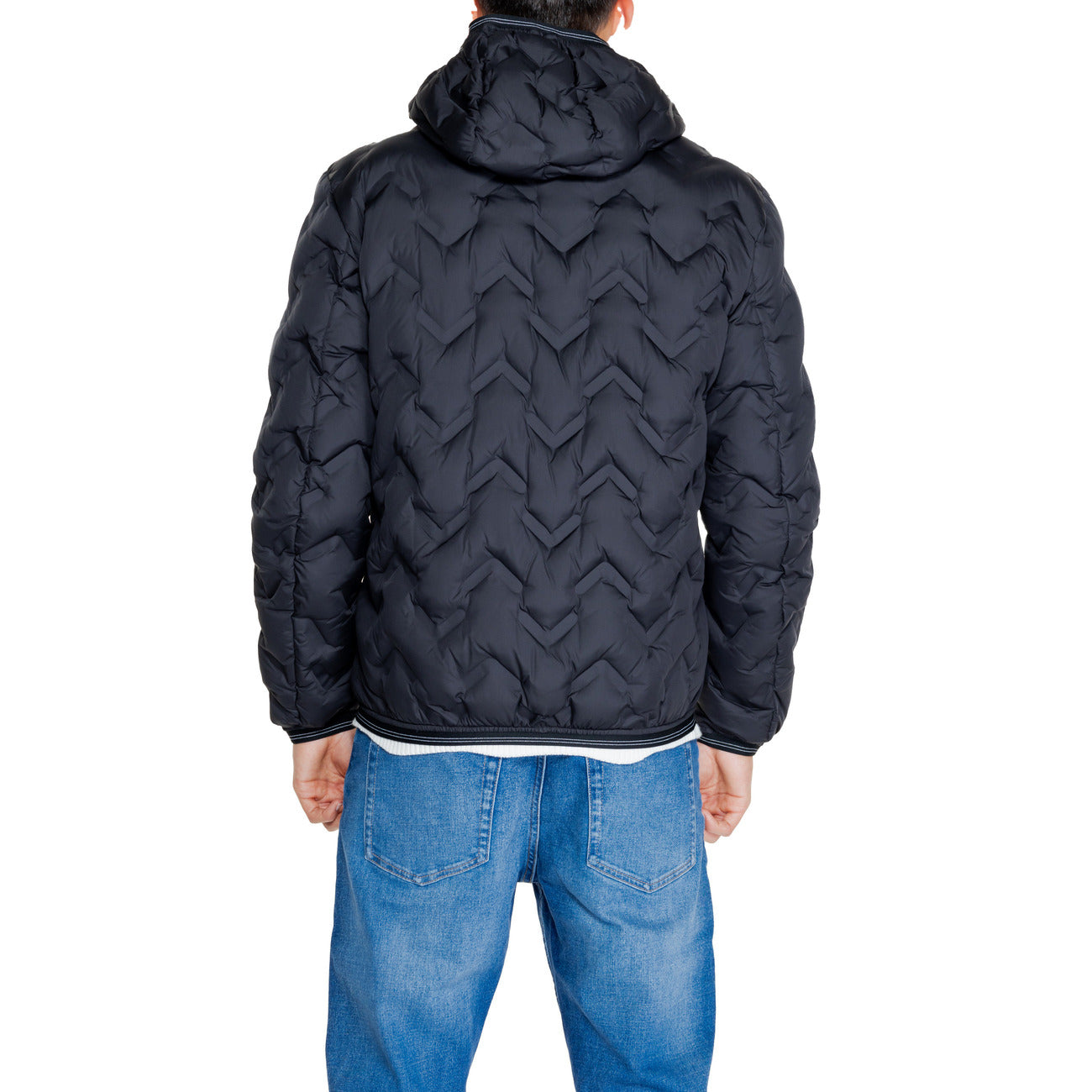Blauer Barbat Geci - 0