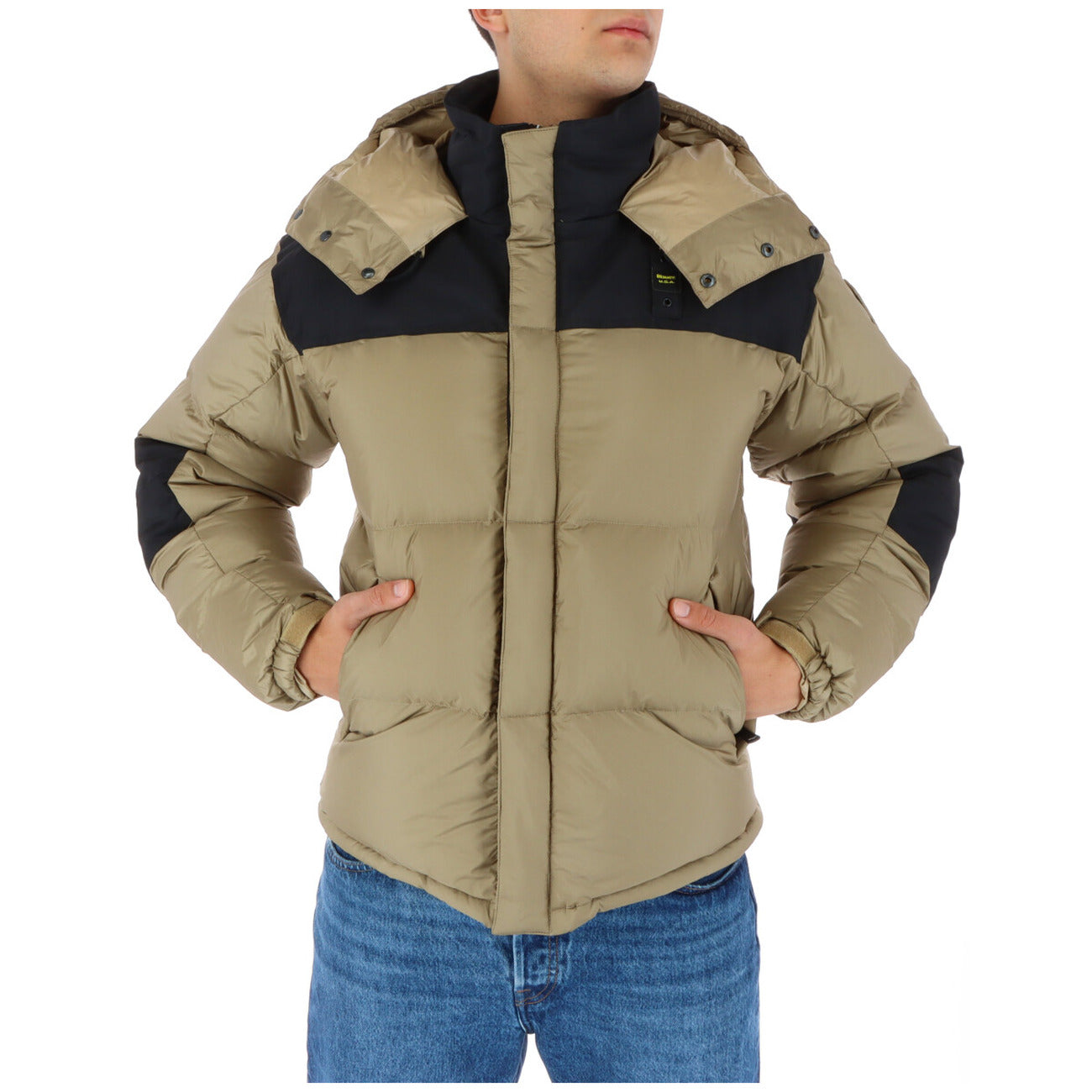 Blauer Barbat Geci